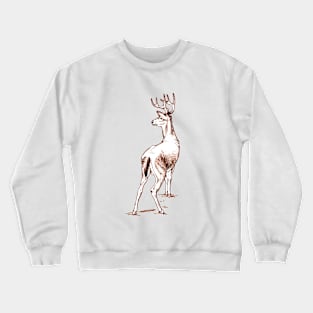 Curious Deer (brown) Crewneck Sweatshirt